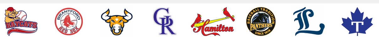 IBL logo - all teams