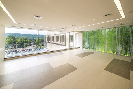 insitutional-renovation-boris-clinic