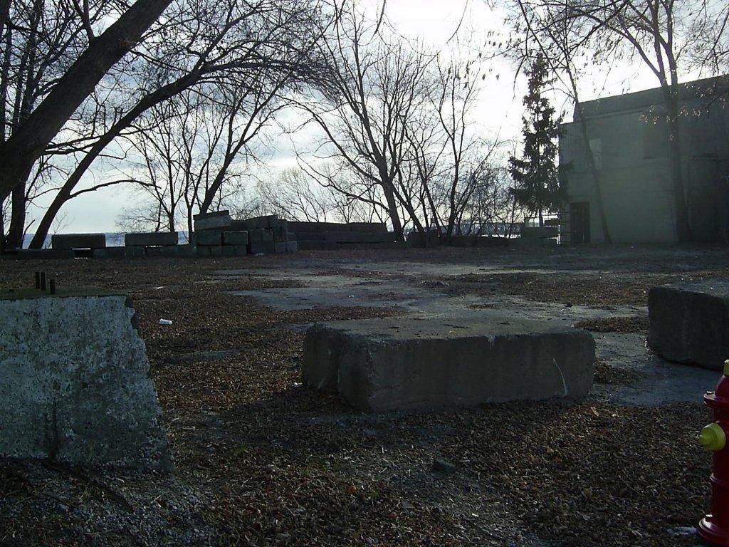 LKsh-Timmys looking west