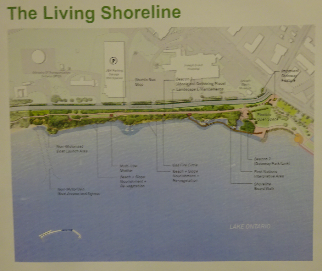 Living Shoreline