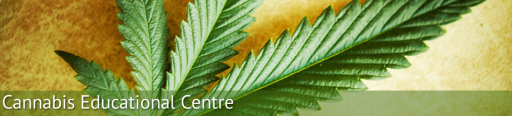 Marijuana education