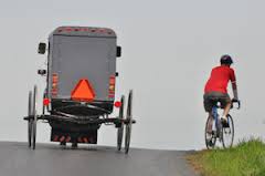 Mennonite buggy and bike rider