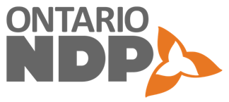 NDP logo
