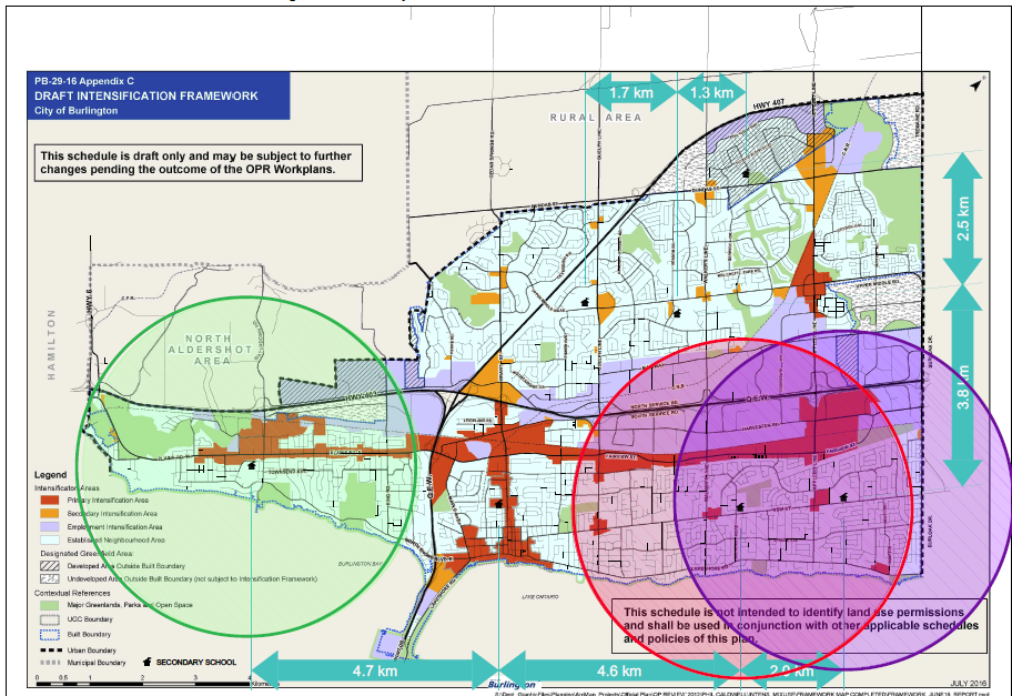 Option 19 - catchment areas