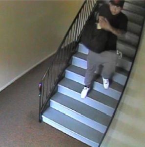 Pearl Suspect 2