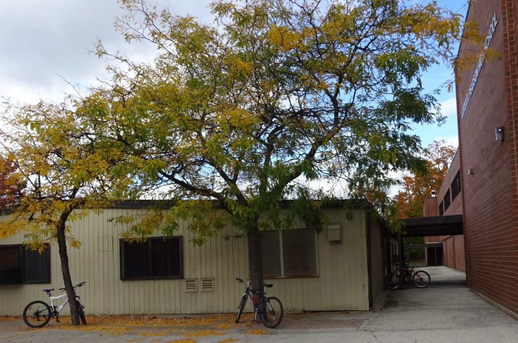 pearson-row-of-portables