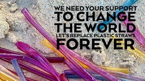Plastic straw poter