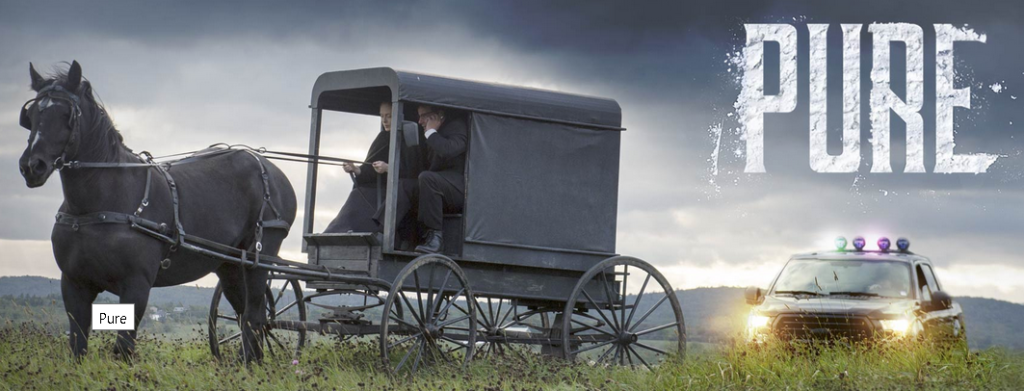 pure-screen-shot-buggy