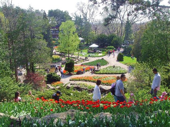 RBG gardens - lots of colour