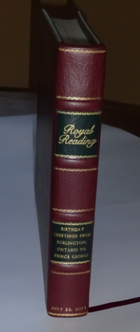 RR BBW spine of DEMO