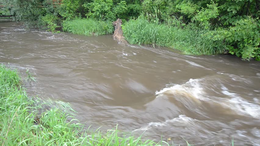 Raging creek