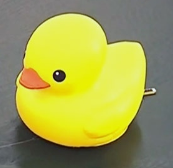 Rubber duck