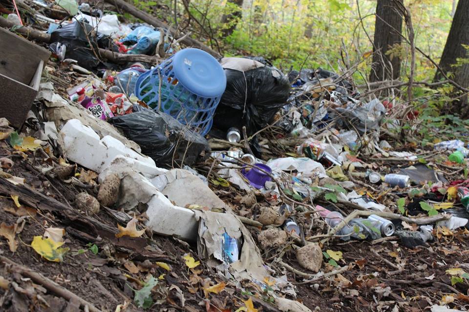 Sheldon Creek dump 2