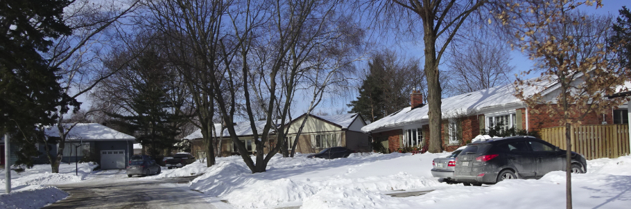 Shore - Street of bungalows