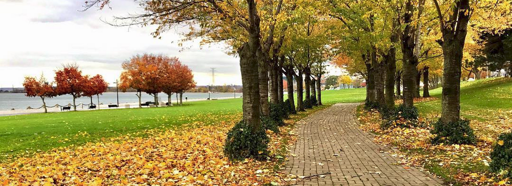 Spencer Smith in the fall