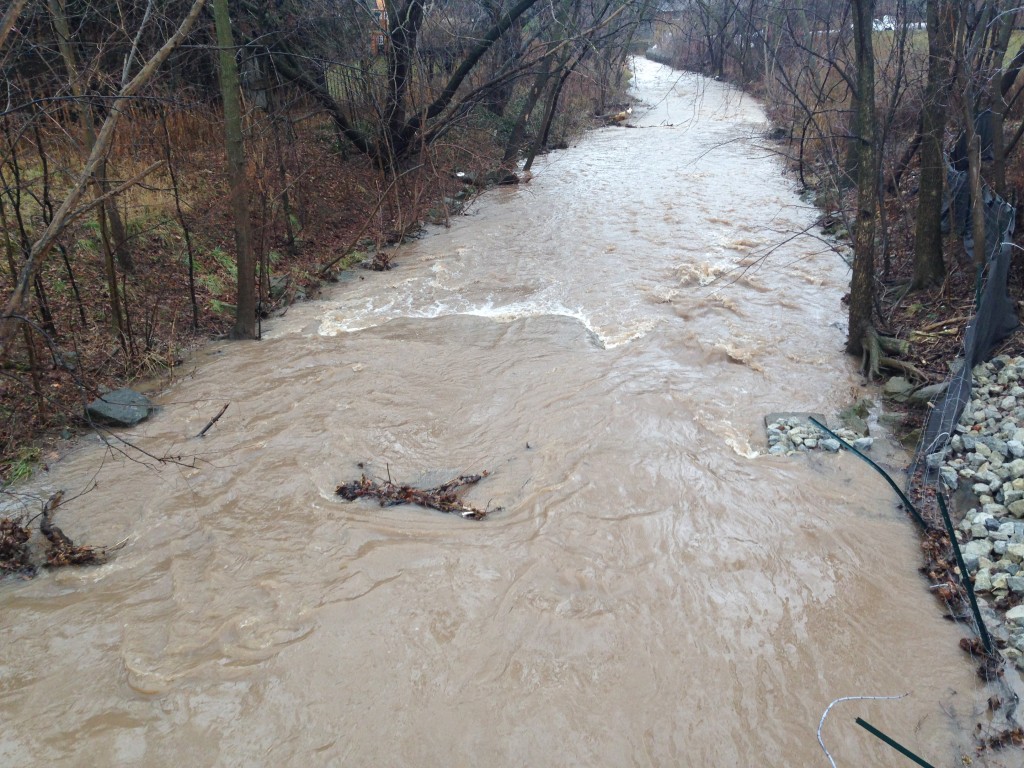 TUCK CREEK BY Gottlob Jan 10-16 #2