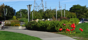 Terry Fox marker location