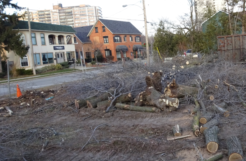 Tim Horton lots - looking onto Old Lakeshore Road
