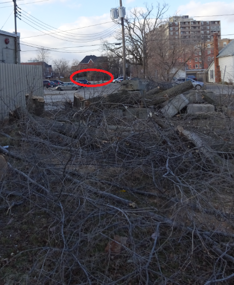 Tim Horton property with market showing ADI project