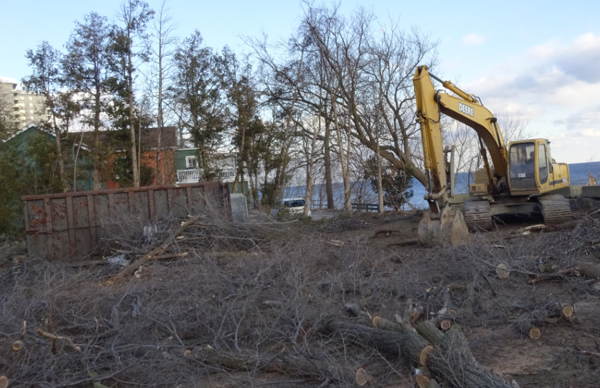 Tom Horton property - not a tree left standing