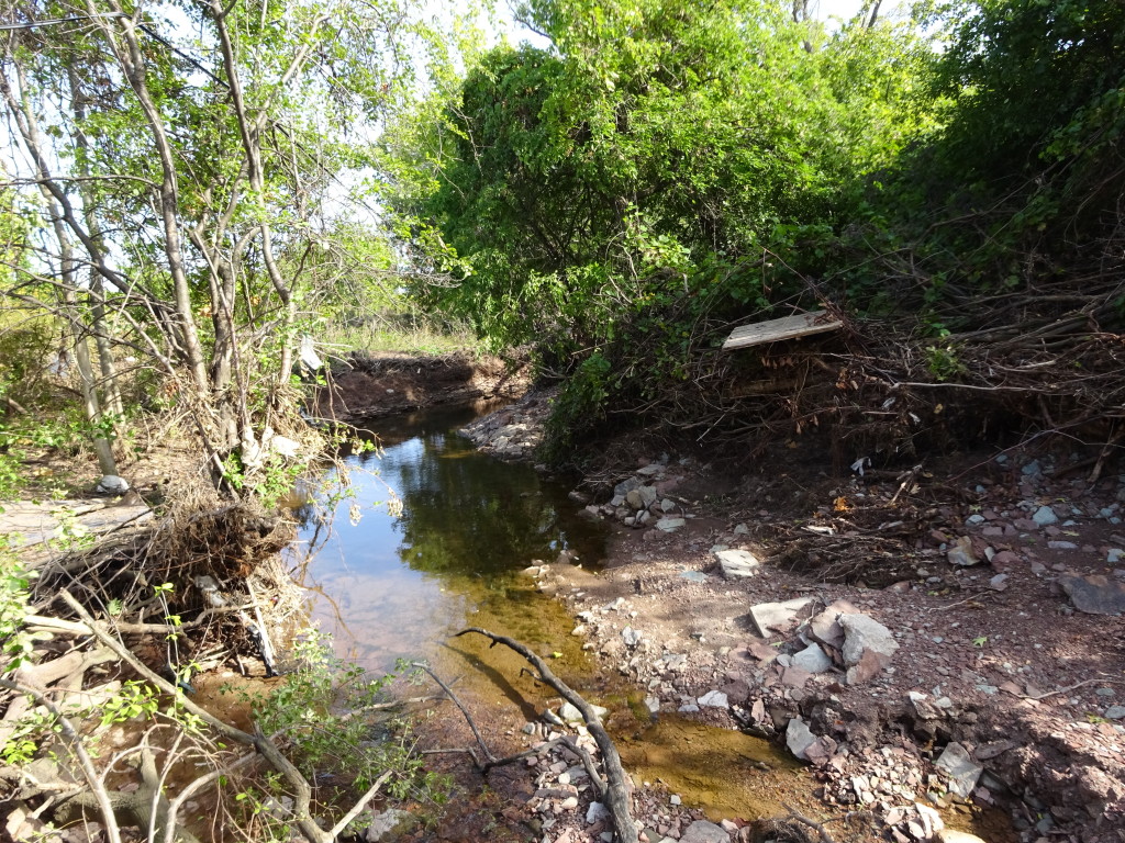 Tuck Creek and 6 story structure 001