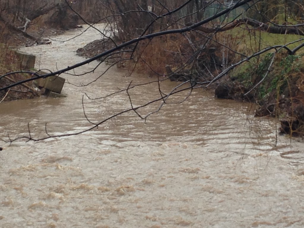 Tuck creek by Gottlob JaN 10-16 #1
