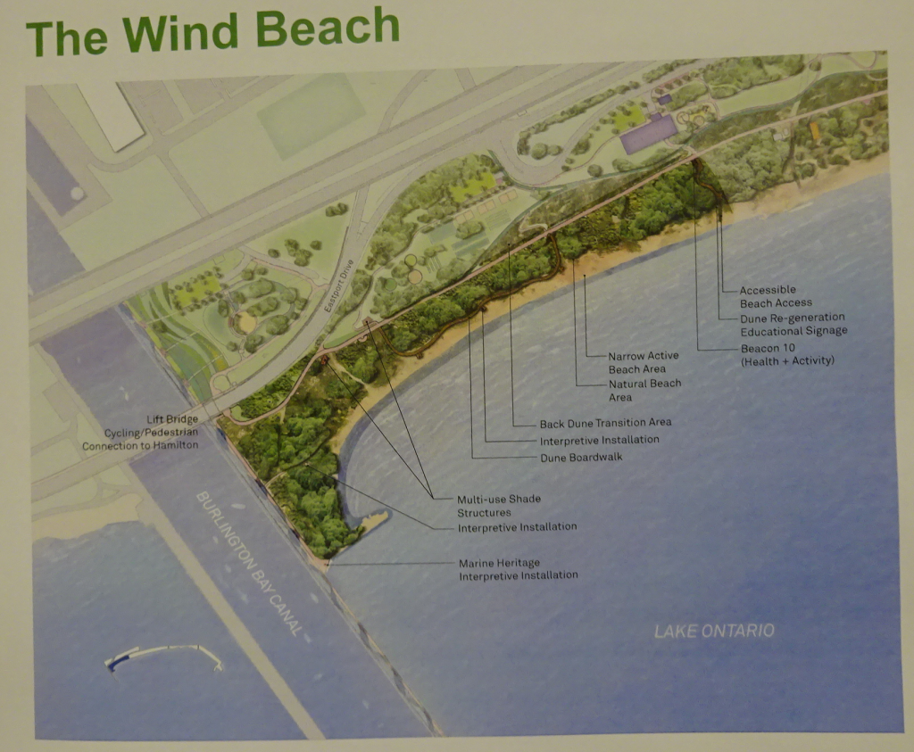 Wind Beach