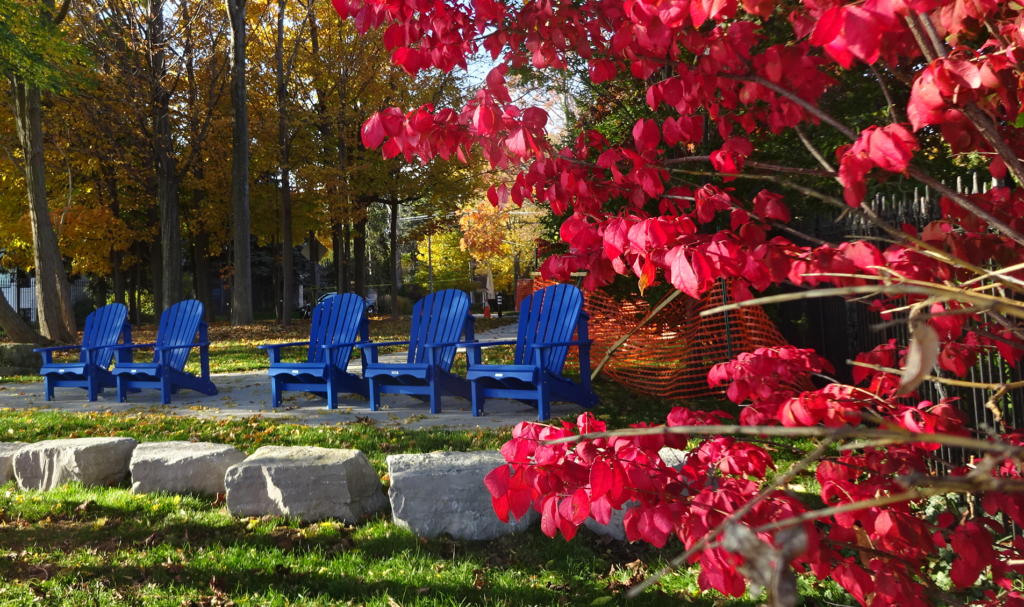 windows-west-side-blue-with-red-leaves