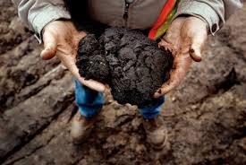 alberta oil sands - bitumen