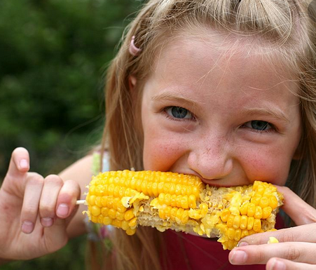 corn eating