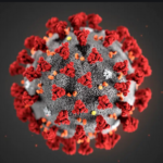 covid virus