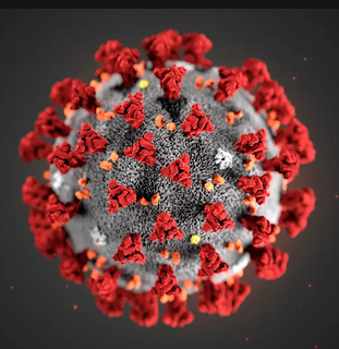 covid virus