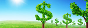fundraisng-money-on-trees