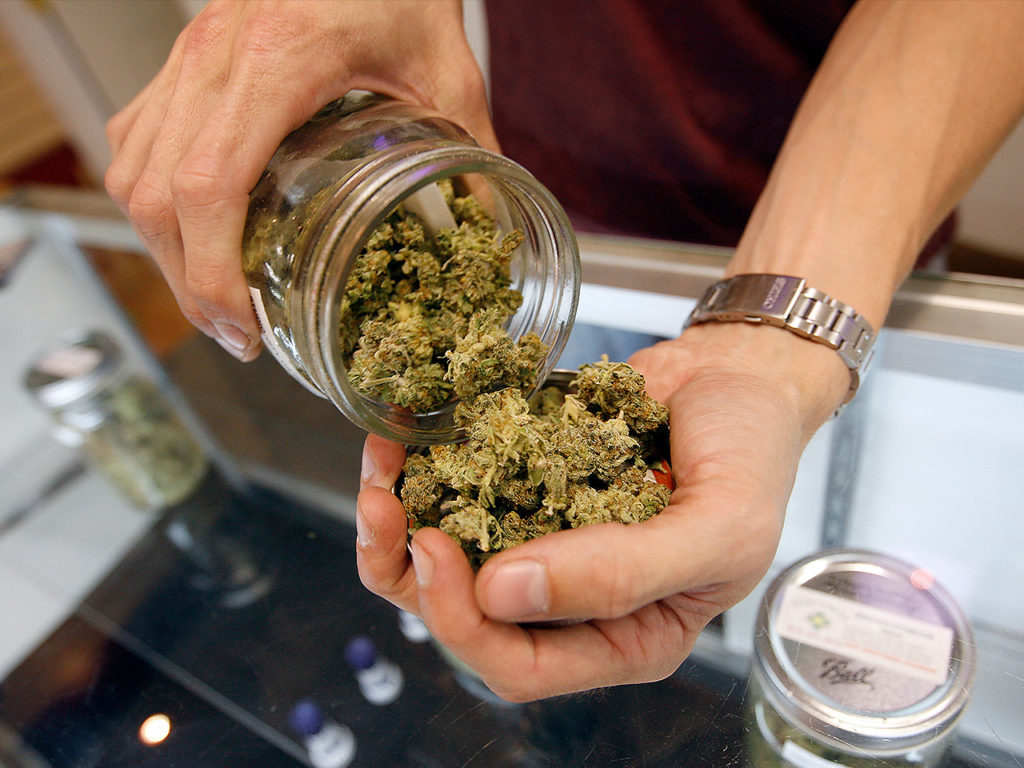marijuana-dispensary-holding-weed-1280