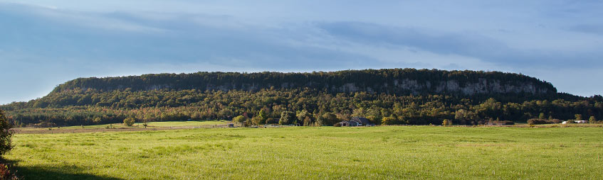 mount-nemo wide