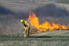 prescribed burn # 1