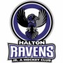 ravens logo