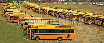 school bues - many