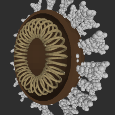 virus cbc presentation